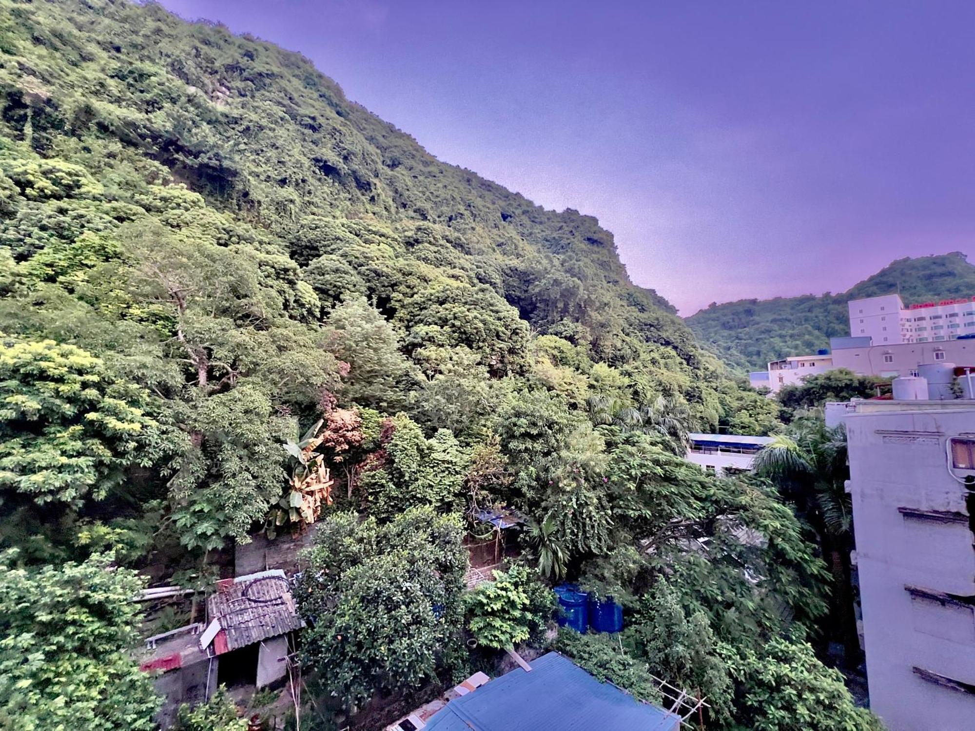 Manh Vuong Hotel Catba Dong Khe Sau Экстерьер фото